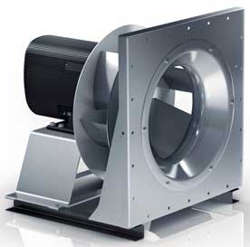 فن نیکوترا چیست و چرا محبوبیت بالایی دارد؟