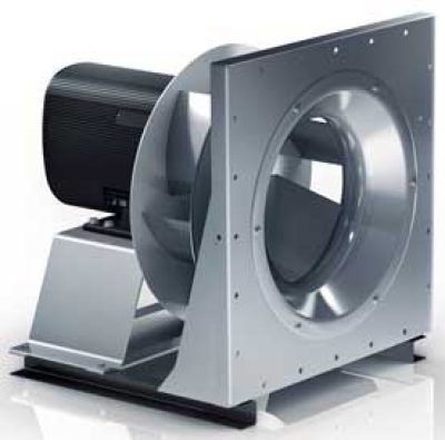 فن نیکوترا چیست و چرا محبوبیت بالایی دارد؟